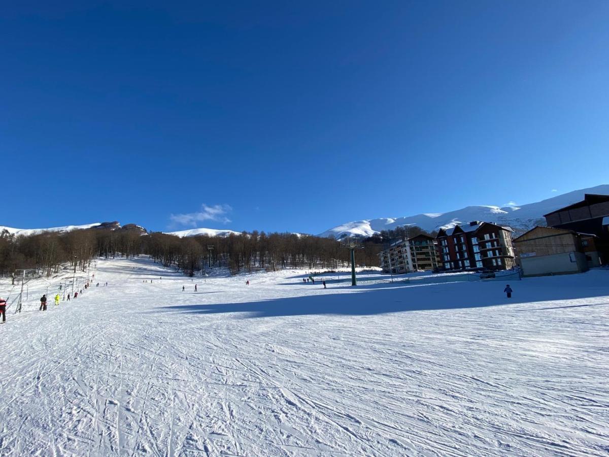 Snow Pine Suite - 4 Star Resort Bakuriani Εξωτερικό φωτογραφία